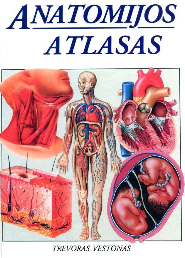 Anatomijos atlasas | Trevoras Vestonas