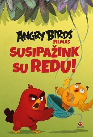 Angry Birds. Susipažink su Redu | 