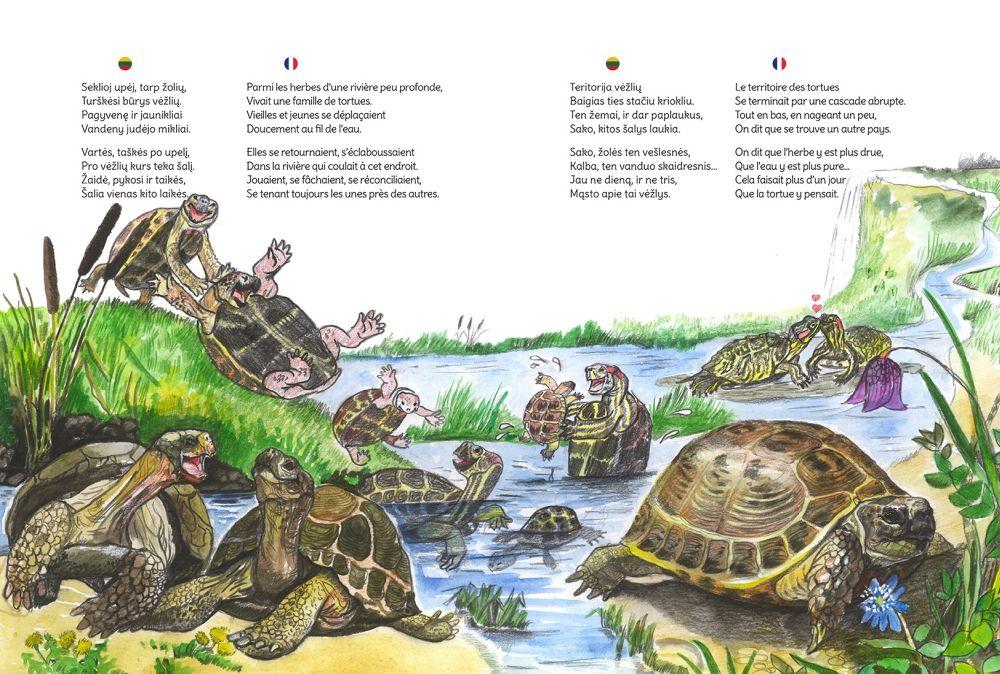 Per balas į salas. Vėžliuko istorija | De flaques en îles. Histoire d’une petite tortue | Viktorija Guseinova
