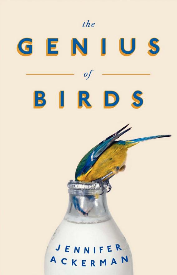 Genialieji paukščiai | Jennifer Ackerman