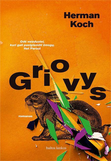 Griovys (knyga su defektais) | Herman Koch