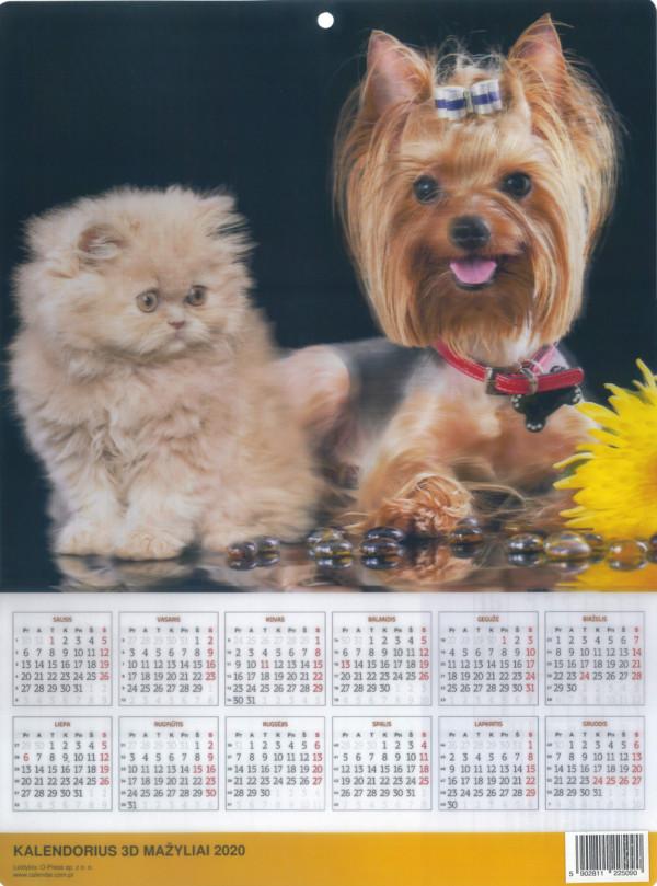 2020 metų kalendorius (3D Šuo su kate) 45x33 | 