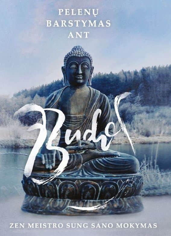 Pelenų barstymas ant Budos. Zen meistro Sung Sano mokymas | Stephen Mitchell