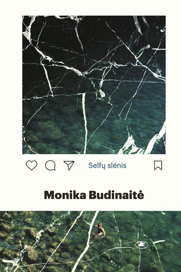 Selfų slėnis (knyga su defektais) | Monika Budinaitė