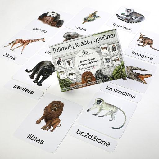 Trijų dalių „Montessori“ lavinamųjų kortelių rinkinys „Tolimųjų kraštų gyvūnai“ (3 dalis) | 