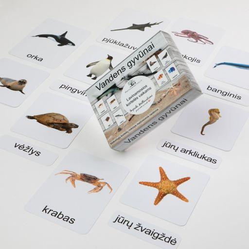 Trijų dalių „Montessori“ lavinamųjų kortelių rinkinys „Vandens gyvūnai“ (1 dalis) | 