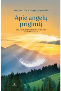 Apie angelų prigimtį (knyga su defektais) | Matthew Fox, Rupert Sheldrake