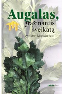 Salieras. Augalas, grąžinantis sveikatą | Vytautas Mikalauskas