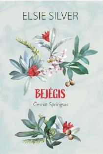 Bejėgis | Elsie Silver