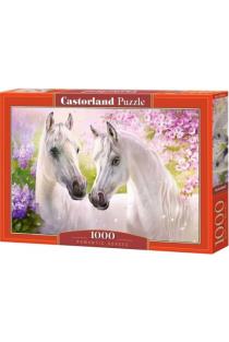 Castorland dėlionė „Romantic Horses“ (1000 det.) | 