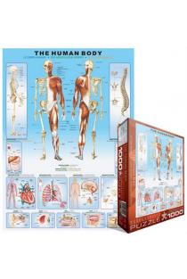 Dėlionė „Žmogaus kūnas“ (1000 det.) | 