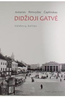 Vilniaus gatvių istorija. Valdovų kelias, 2 knyga. Didžioji gatvė | Antanas Rimvydas Čaplinskas