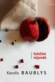 Geležinė vėjarodė | Karolis Baublys