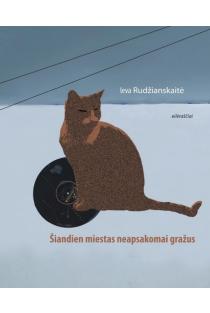 Šiandien miestas neapsakomai gražus | Ieva Rudžianskaitė