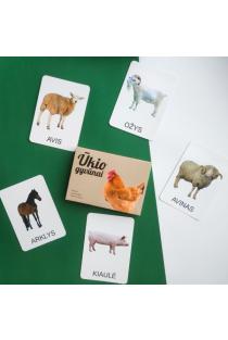 Lavinamųjų kortelių rinkinys „Ūkio gyvūnai“ | 