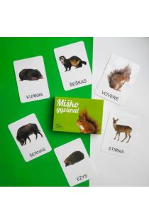Lavinamųjų kortelių rinkinys „Miško gyvūnai“ | 