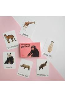 Lavinamųjų kortelių rinkinys „Tolimųjų kraštų gyvūnai“ | 
