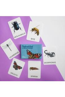 Lavinamųjų kortelių rinkinys „Vabzdžiai ir kiti nariuotakojai“ | 