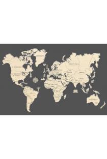 Medinė dėlionė „Pasaulio žemėlapis“ | 