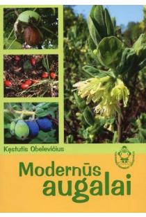 Modernūs augalai | Kęstutis Obelevičius
