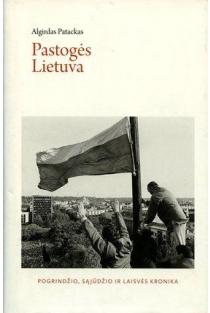 Pastogės Lietuva: Pogrindžio, Sąjūdžio ir Laisvės kronika | Algirdas Patackas