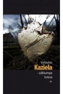 Užklumpa šviesa | Vytautas Kaziela