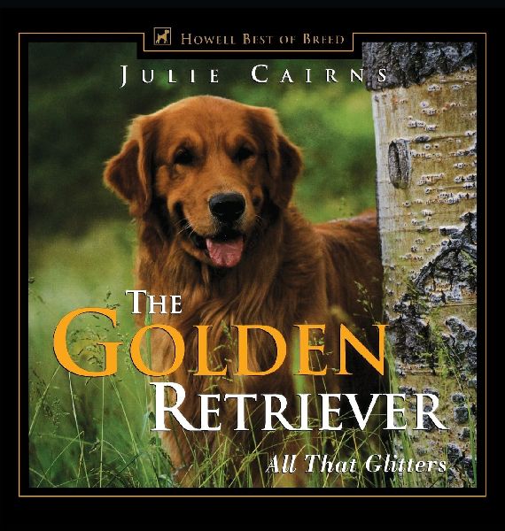 The Golden Retriever: All That Glitters