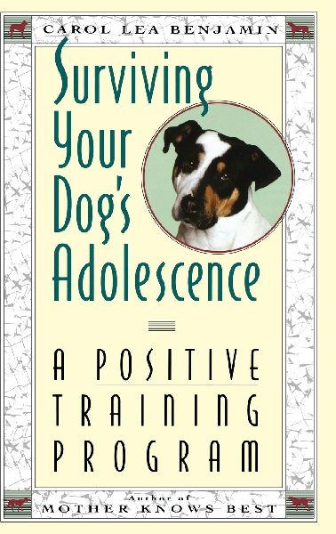 Surviving Your Dogs Adolescence: A Positive Training Program