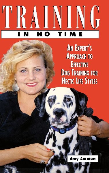 Training in No Time