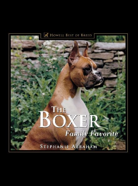 The Boxer: Family Favorite