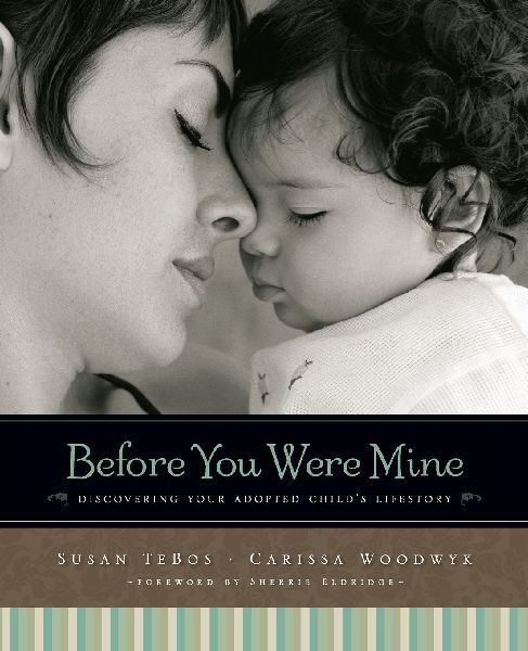 The Before You Were Mine: Discovering Your Adopted Child's Lifestory