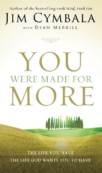 You Were Made for More: The Life You Have, the Life God Wants You to Have