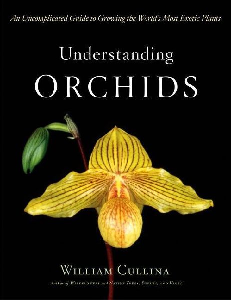 Understanding Orchids: An Uncomplicated Guide to Growing the Worlds Most Exotic Plants