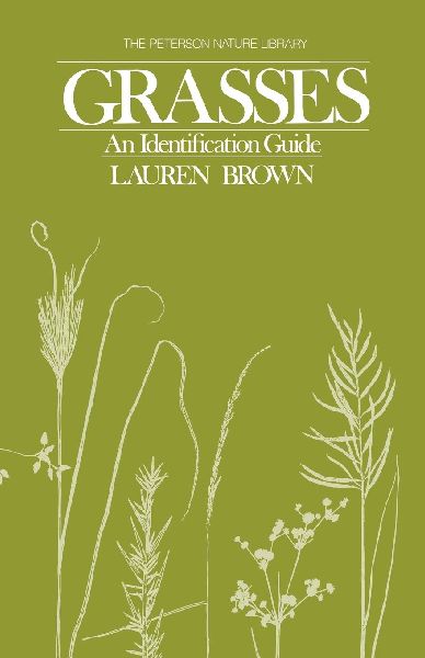 Grasses: An Identification Guide