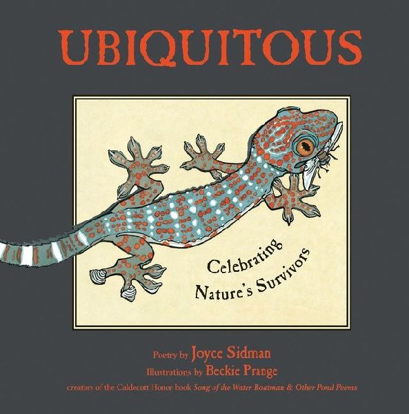 Ubiquitous: Celebrating Natures Survivors
