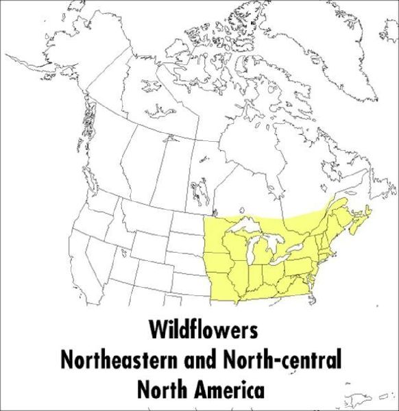 A Peterson Field Guide to Wildflowers: Northeastern and North-Central North America