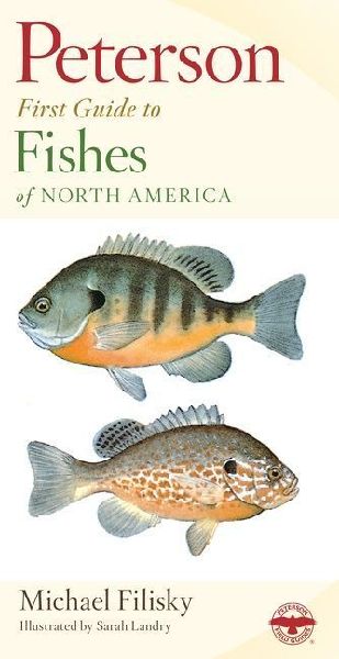 Peterson First Guide to Fishes of North America