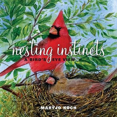 Nesting Instincts: A Birds-Eye View