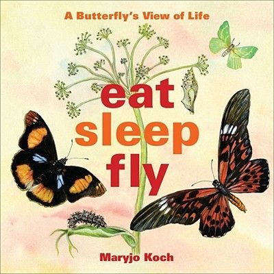 Eat, Sleep, Fly: A Butterflys View of Life