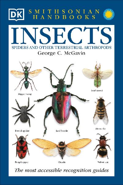 Insects: The Most Accessible Recognition Guide