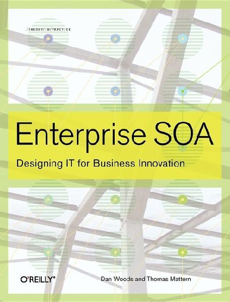 Enterprise SOA: Designing It for Business Innovation