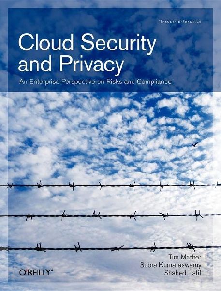 Cloud Security and Privacy: An Enterprise Perspective on Risks and Compliance