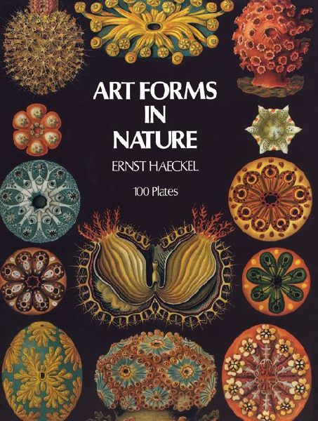Art Forms in Nature