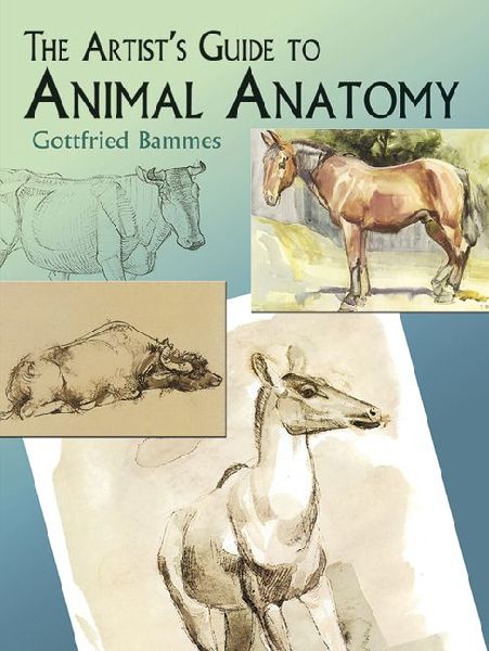 The Artists Guide to Animal Anatomy