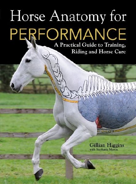 Horse Anatomy For Performance: A Practical Guide to Training, Riding and Horse Care