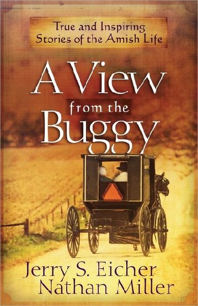 A View from the Buggy
