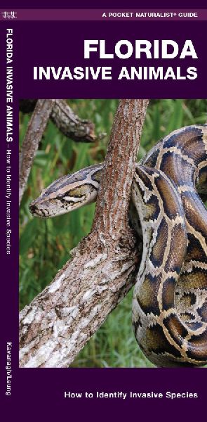 Florida Invasive Animals: How to Identify Invasive Species