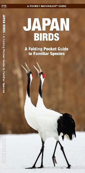 Japan Birds: A Folding Pocket Guide to Familiar Species