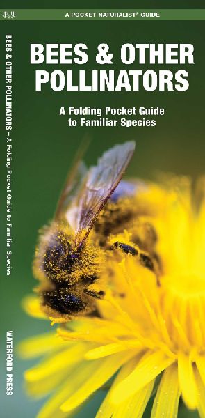 Bees & Other Pollinators
