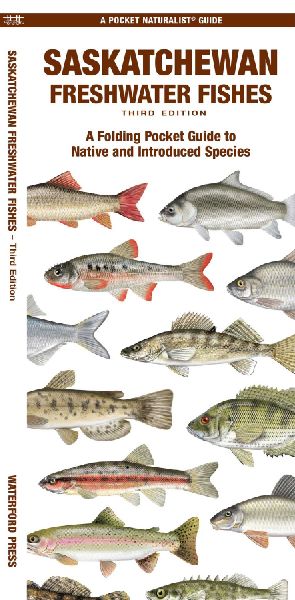 Saskatchewan Freshwater Fishes, 3rd Ed
